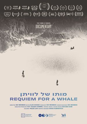 Requiem for a Whale's poster