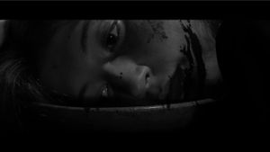 Amor e Morte's poster