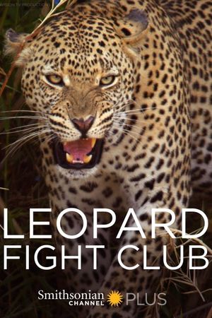 Leopard Fight Club's poster