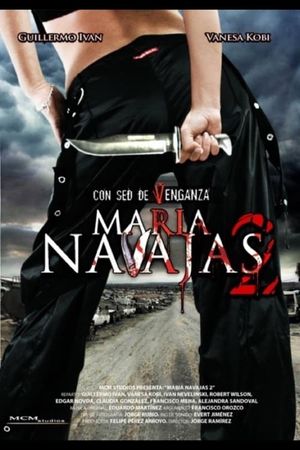 María Navajas 2's poster