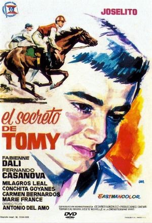 El secreto de Tomy's poster