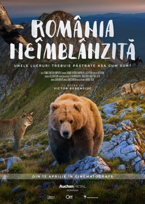 Untamed Romania's poster