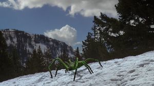 Ice Spiders's poster