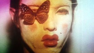 Butterfly's poster