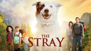 The Stray's poster