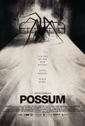 Possum's poster