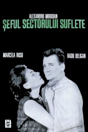 Seful sectorului suflete's poster