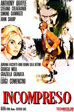 Misunderstood's poster