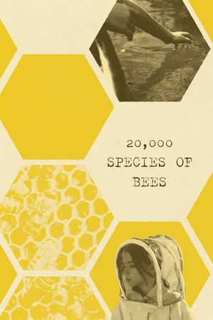 20,000 Species of Bees's poster