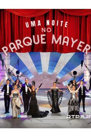 Uma Noite no Parque Mayer's poster