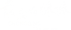The Last Stickman of Chongqing's poster