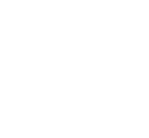 LEGO Disney Princess: The Castle Quest's poster