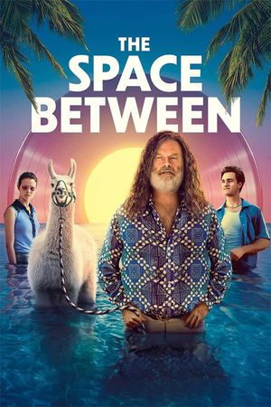 The Space Between's poster