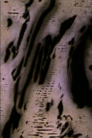 Motion of Light's poster