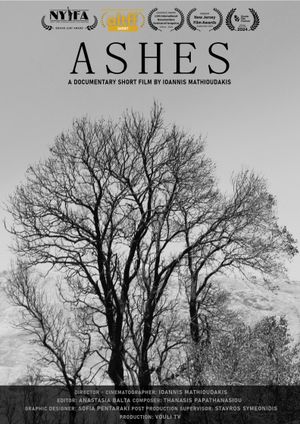 Ashes's poster