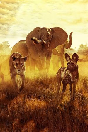 Surviving Paradise: A Family Tale's poster
