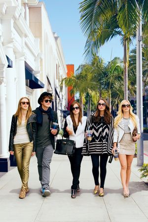 The Bling Ring's poster