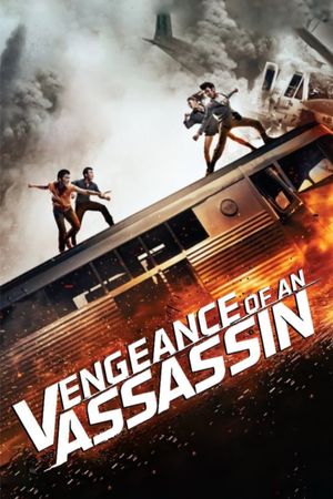 Vengeance of an Assassin's poster
