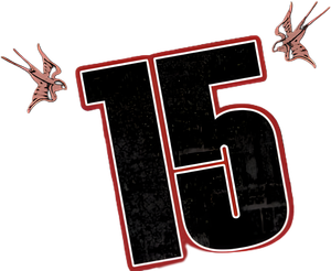 15: The Movie's poster