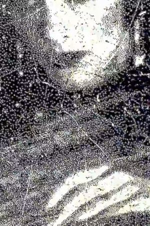 Debris's poster