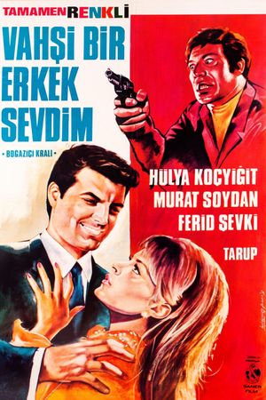 Vahsi bir erkek sevdim's poster