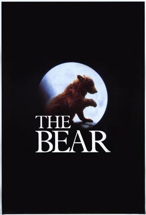 The Bear's poster