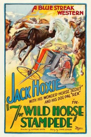 The Wild Horse Stampede's poster