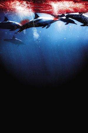 The Cove's poster