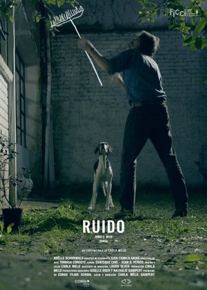 Ruido's poster