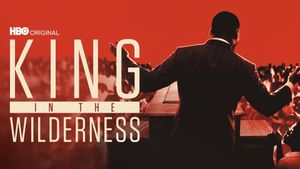 King In The Wilderness's poster