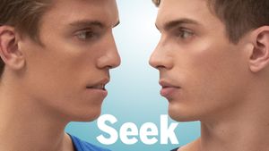 Seek's poster