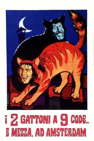 I due gattoni a nove code... e mezza ad Amsterdam's poster