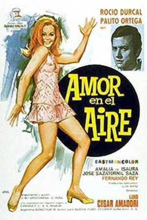 Love in Flight's poster
