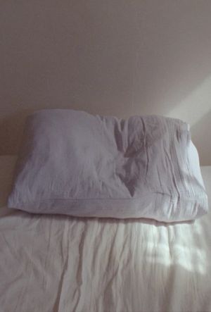 pillow bowl rose tree's poster