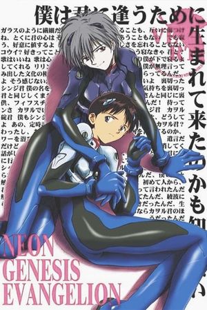 Evangelion: 3.0 You Can (Not) Redo's poster
