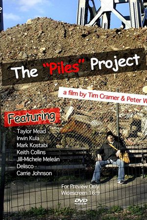 The Piles Project's poster