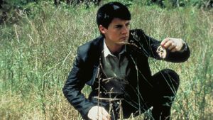 Blue Velvet's poster