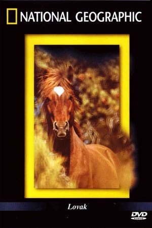 The Noble Horse's poster