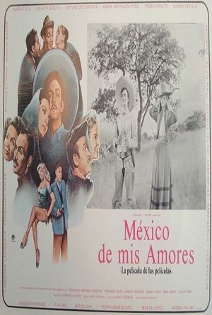 Mexico of My Loves's poster