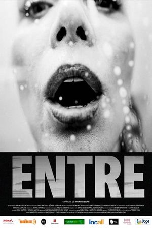 Entre's poster image