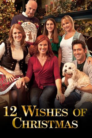 12 Wishes of Christmas's poster