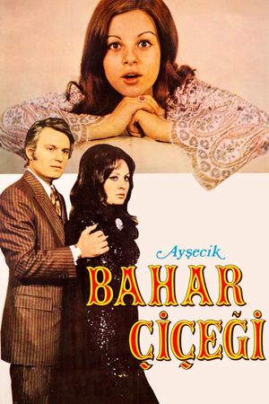 Aysecik: Bahar Çiçegi's poster