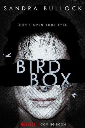 Bird Box's poster