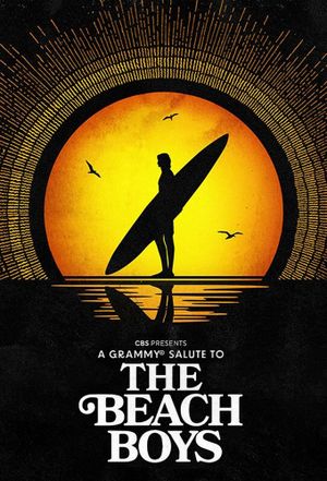 A Grammy Salute to The Beach Boys's poster