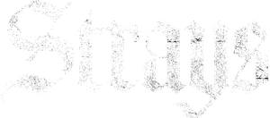 Strays's poster