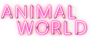 Animal World's poster