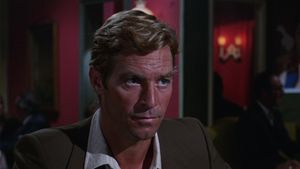 The Cat o' Nine Tails's poster