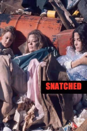 Snatched's poster