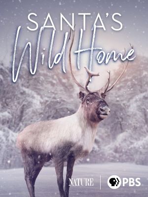 Santa's Wild Home's poster image