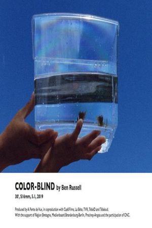 Color-Blind's poster